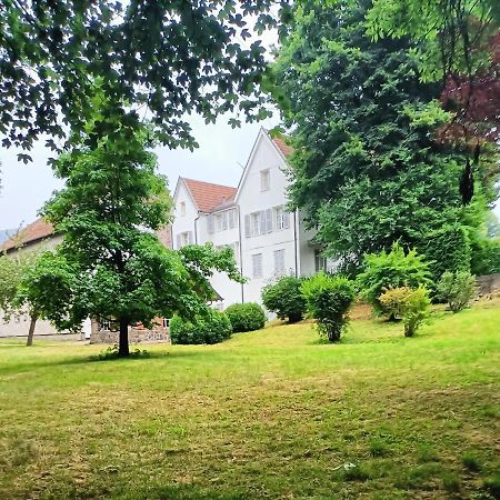 Domaine De La Moselle Bed & Breakfast Saint-Maurice-sur-Moselle Exterior photo